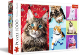 Puzzle - "1000" - Retratos de perros divertidos Puzzle Naty Shop Gatos divertidos