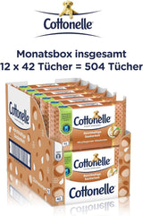 Toallitas húmedas, My Spa Experience - Cachemira y manteca de karité, biodegradables, sin plástico, resellables, paquete económico, 12 x 42 toallitas húmedas