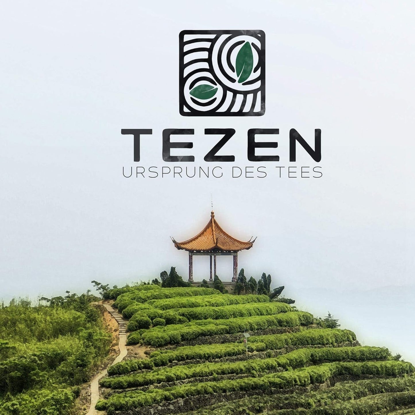 Té Tie Guan Yin Oolong de Anxi, China | Cosecha 2025 | Té chino Oolong de alta calidad | Té chino premium de plantaciones tradicionales 100 g