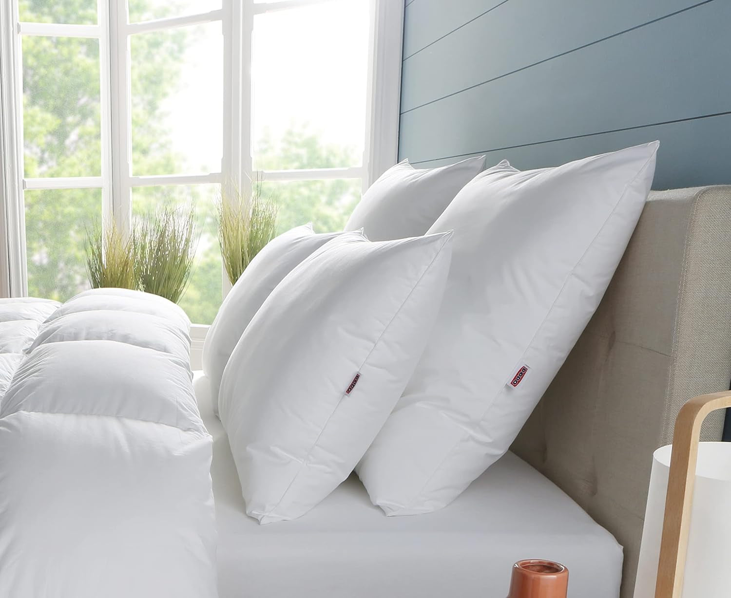 Almohada DODO Premium, 60 X 60 Cm, Confort Medio, Almohada Cloud De Douceur | A prueba de ácaros y esponjoso | Algodón Percal + Ribetes Lavable a máquina a 40 °C Almohadas estándar Naty Shop Blanco 60/60