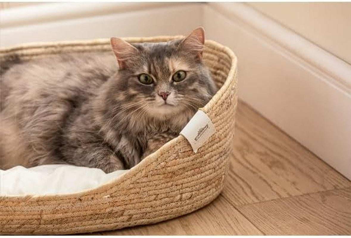 Camas y Sofás, Mantas y Muebles, Mascotas, Gatos, Camas para gatos, Gatos - camas, colchones