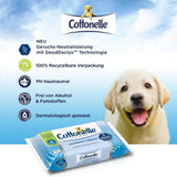 Toallitas húmedas, Ultimate Fresh, 12 x 42 toallitas, tecnología Deodycylx, respetuosas con la piel, sin alcohol ni colorantes, sensibles, biodegradables