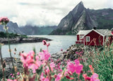 Ravensburger Puzzle Scandinavian Places 16740 - Reine, Lofoten, Noruega - Puzzle de 1000 piezas para adultos y niños mayores de 14 años Puzzle Naty Shop