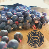 Grosellas negras liofilizadas | Grosellas secas 100% naturales | Sin azúcares añadidos Dulces liofilizados saludables | Frutas liofilizadas Frutas liofilizadas Productos deshidratados Naty Shop