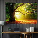 Alfombra tapiz bosque lienzo árbol sol cielo Hogar - Accesorios y Decoración Naty Shop 200L X 150B Cm