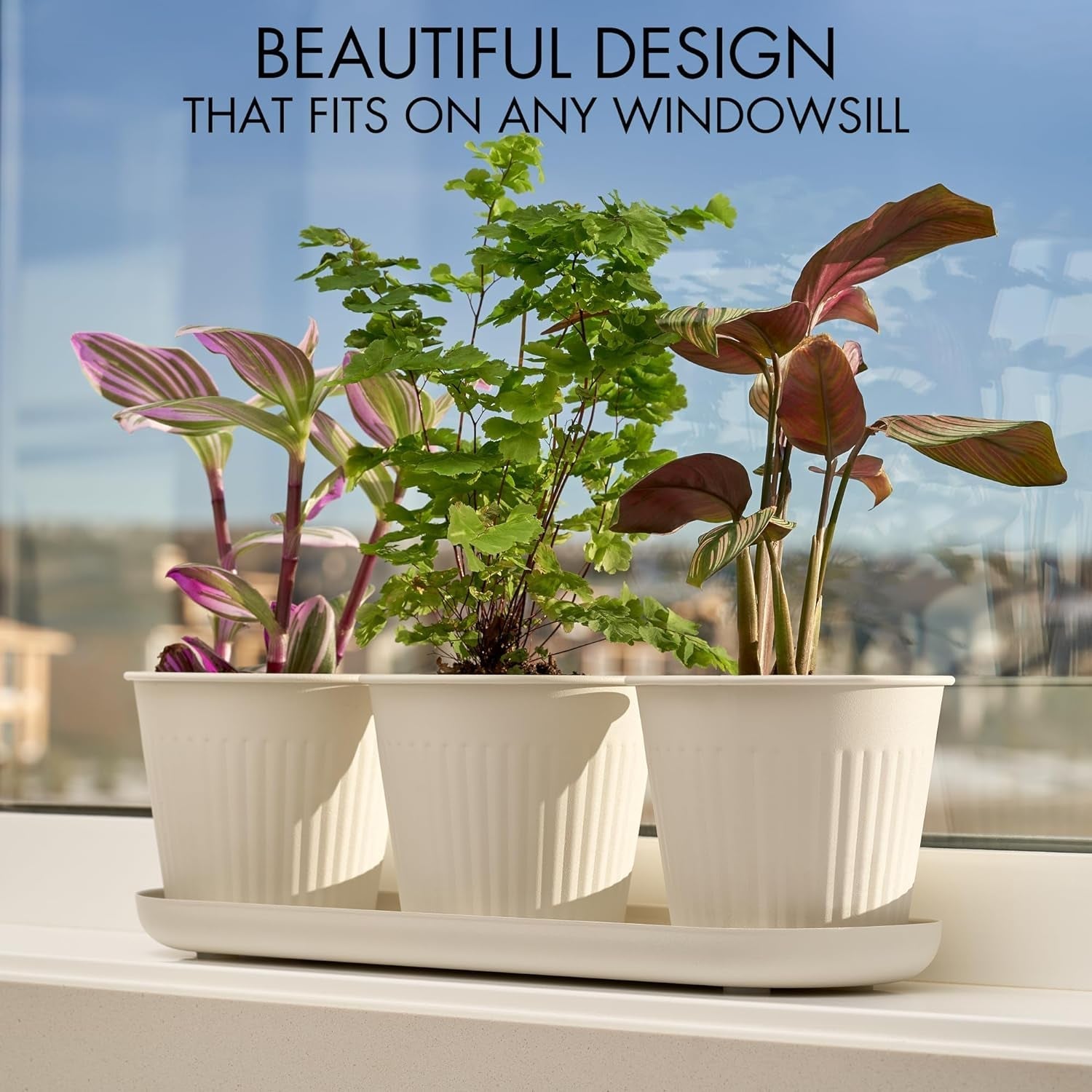 Juego de 3 hermosas macetas de jardín con hierbas, perfectas para cualquier alféizar de ventana o mostrador de la cocina, un moderno juego de jardineras decorativas que incluye bandeja y...