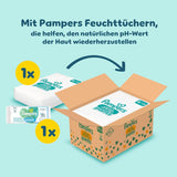 Pampers Premium Protection Pants Tamaño 6, 78 Windelns, 13kg-19kg, Mit 360° Fitform, 2x breiteren Bundchen als vorher für Comfort & Schutz + 10 Stück Pampers Aqua Baby-Weuchttücher enthalten