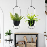 Macetas Colgantes de Metal 2 Piezas Colgador de Plantas geométrico Ovalado Negro con Macetas Jardinera Moderna de Pared y Techo Interior y Exterior 15,2 cm Macetas 2 Piezas