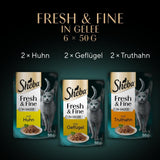 Sheba Portion Bags Comida húmeda para gatos, paquete múltiple de gelatina fresca y fina de pavo y pollo, 6x6x50 g - Comida para gatos con gelatina de pavo y pollo de alta calidad