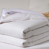 Platino, plumón de ganso, 300 g/m², 240 x 220 cm, blanco (blanco) Edredones y edredones Naty Shop Bianco 260X240 Cm