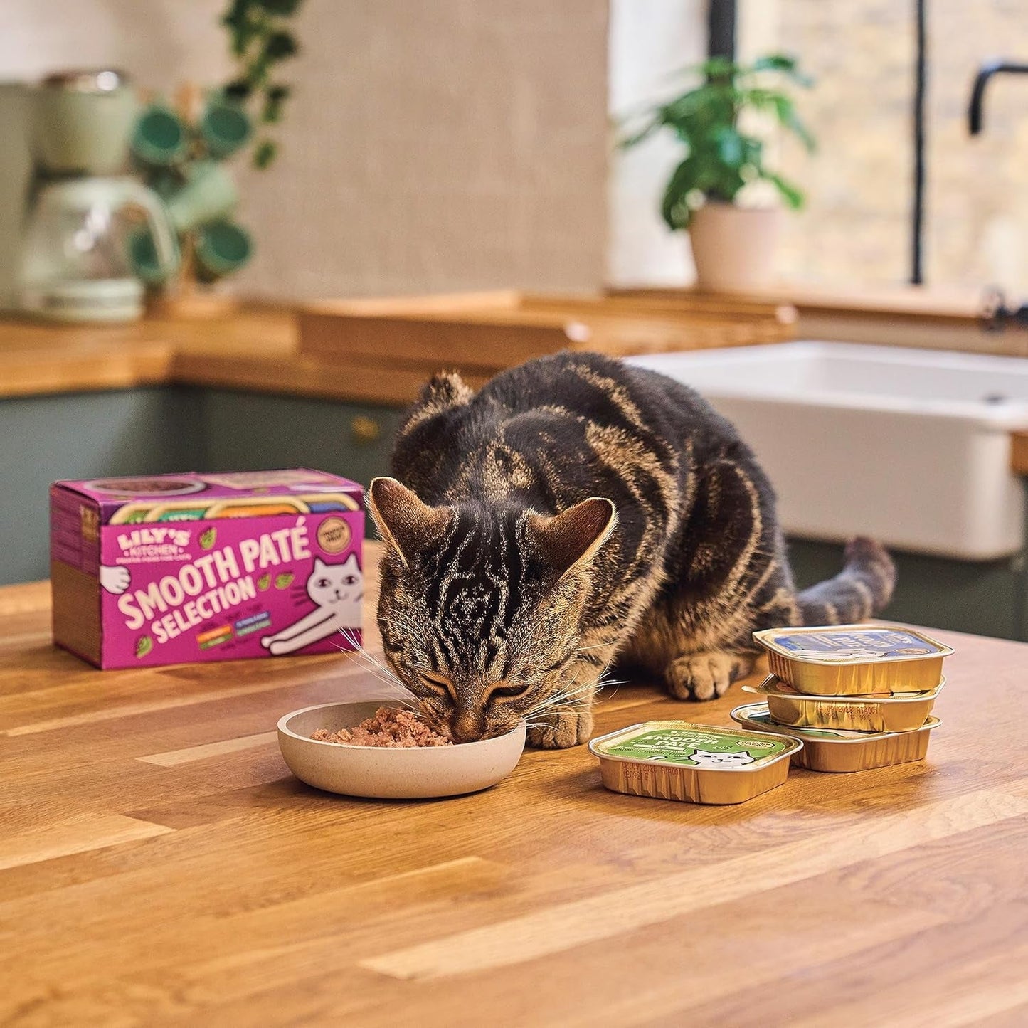 Lily's Kitchen Alimento natural húmedo y tierno para gatos adultos, bandejas, recetas sin cereales, surtido (32 bandejas x 85 g)