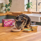 Lily's Kitchen Alimento natural húmedo y tierno para gatos adultos, bandejas, recetas sin cereales, surtido (32 bandejas x 85 g)