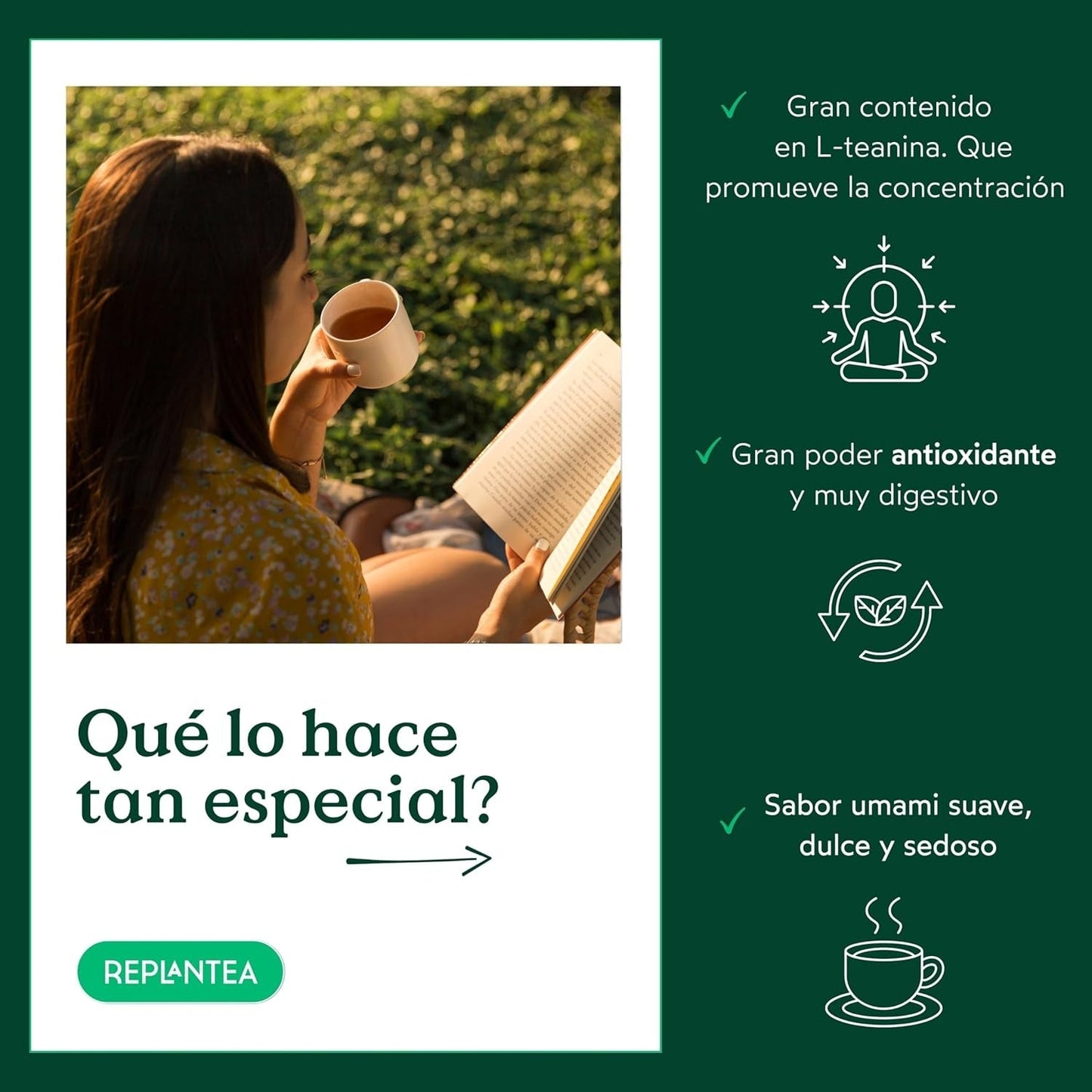 Té verde japonés Gyokuro orgánico (100 g) | Té premium a granel | Sabor umami refinado y dulzura delicada | REPLANTAR