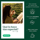 Té verde japonés Gyokuro orgánico (100 g) | Té premium a granel | Sabor umami refinado y dulzura delicada | REPLANTAR