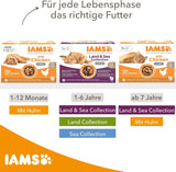IAMS Delights Comida húmeda para gatos mayores - Multi-pack con pollo y pescado en salsa, comida húmeda de alta calidad para gatos mayores de 7 años, 12 x 85g
