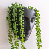 Notakia Macetero facetado de pared para interior y exterior con drenaje para suculentas, cactus y plantas pequeñas, decoración única del hogar, regalo para amigos y familiares