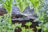 Pieza en T Gardena Micro-Drip-System para boquillas pulverizadoras: Conexión entre tubos de 13 mm y una boquilla pulverizadora, riego automático de plantas, tecnología de conexión rápida y sencilla, reutilizable (13206-20)