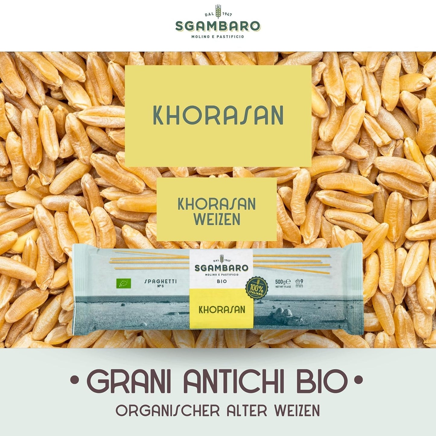 Pasta de espagueti ecológica núm. 5 - 500 g de trigo Khorasan – Trigo antiguo, rico en proteínas, 100% cultivado en Italia – Versátil en la cocina y rico en nutrientes