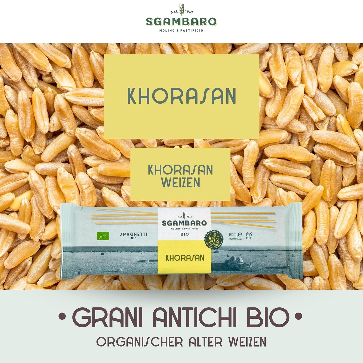 Pasta de espagueti ecológica núm. 5 - 500 g de trigo Khorasan – Trigo antiguo, rico en proteínas, 100% cultivado en Italia – Versátil en la cocina y rico en nutrientes