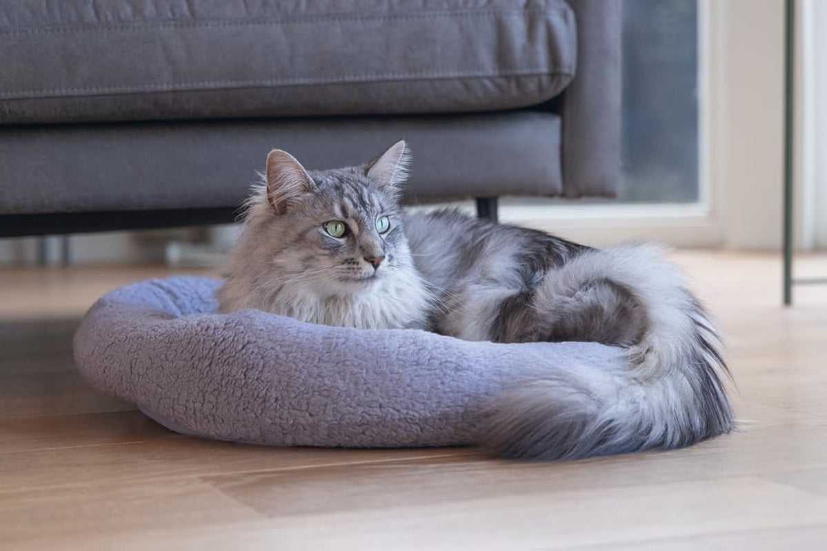Camas, mantas y muebles, mascotas, gatos, camas para gatos, Gatos - camas, colchones