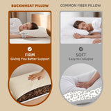 LOFE Almohada para dormir de trigo sarraceno orgánico, 14.0 x 20.0 in, ajustable, transpirable, soporte cervical para dormir fresco para personas que duermen boca arriba y de lado (cascos de trigo sarraceno tartario) Naty Shop Standard Pillows