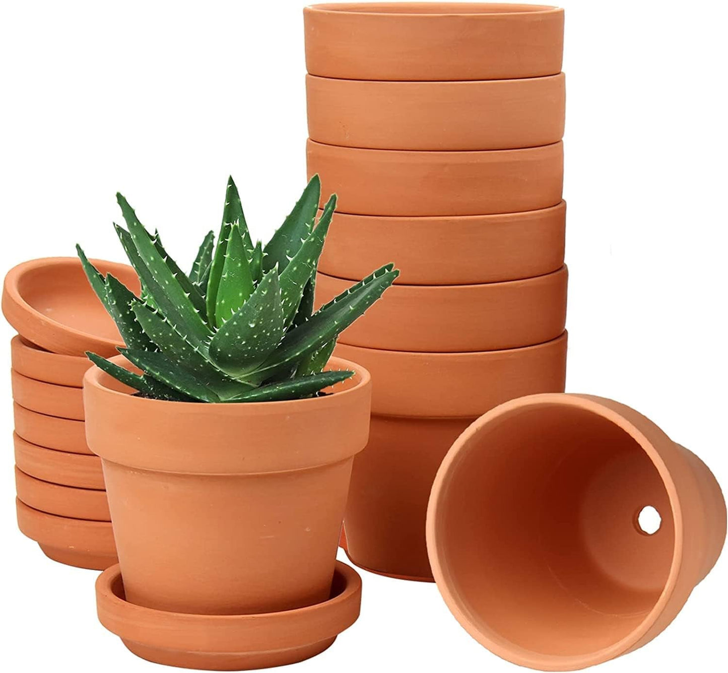 Hollyone Juego de 8 maceteros pequeños de terracota, maceteros redondos de arcilla de 8 x 8 cm con plato y orificio de drenaje, maceteros pequeños con bandeja, maceteros suculentos de terracota para plantas de interior, maceteros de cerámica