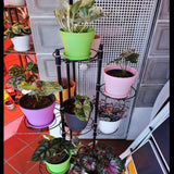 Macetas Grandes de Plástico de 20 Cm con Platillos, Macetas Blancas con Riego Automático con Platillos, Macetas de Plántulas de Plástico, Macetas Engrosadas para Plantar en Interiores y Exteriores (6 Piezas)