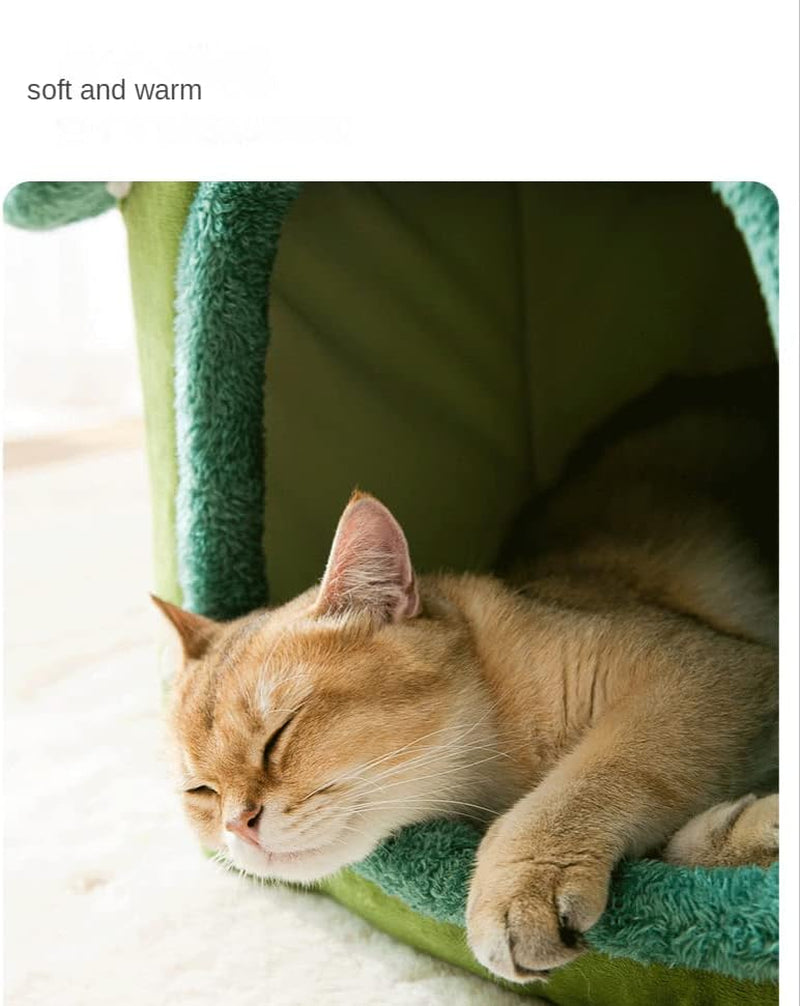 Mantas y Muebles, Mascotas, Cuevas y Casas, Gatos, Camas para Gatos, Camas para Gatos, Colchones