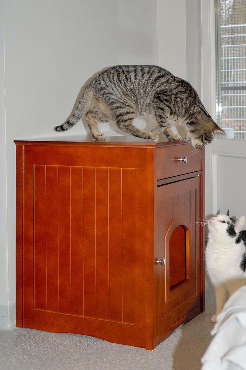 Mantas y Muebles, Mascotas, Casas y Cuevas, Gatos, Camas para gatos, Gatos - camas, colchones
