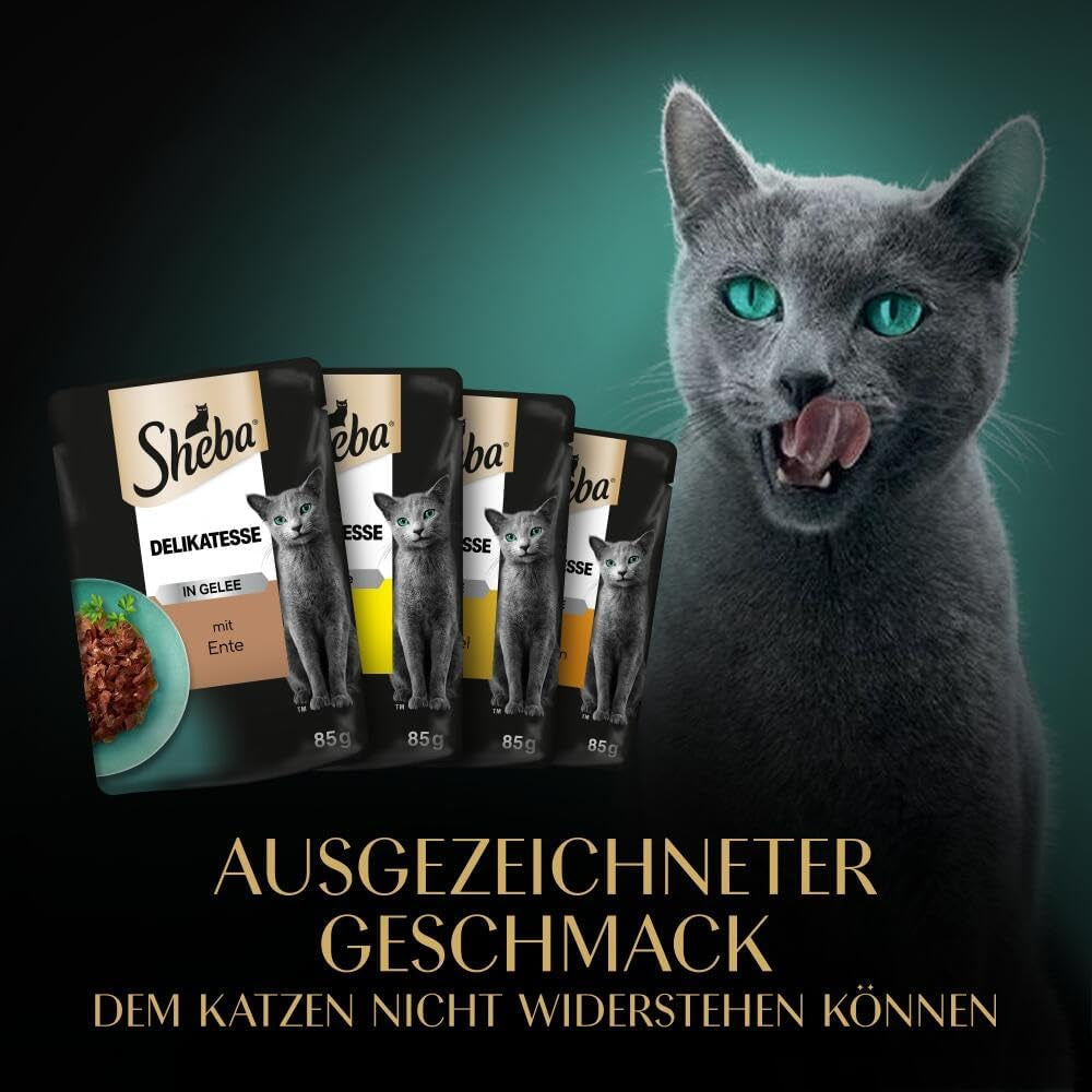 SHEBA Comida húmeda para gatos - 72 sobres x 85g - Variedad de ave en gelatina - Comida húmeda para gatos - 1 paquete grande