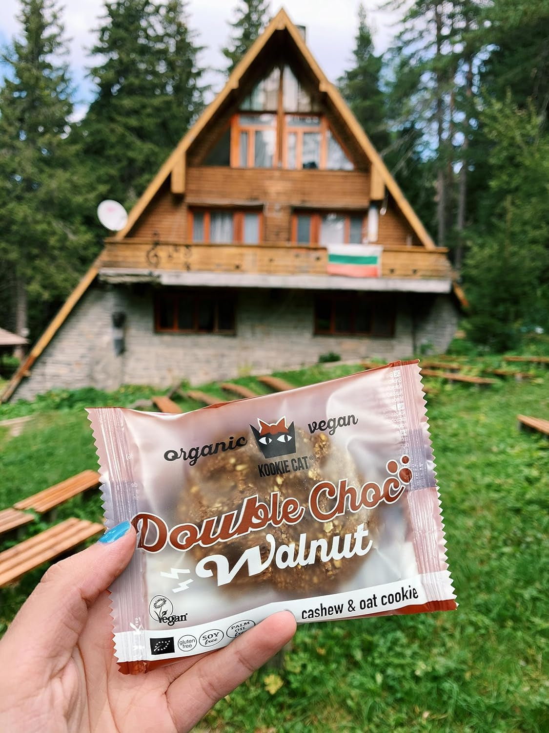 Chocolate con doble nuez - Vegano, sin gluten, sin soja, galletas de avena y anacardos orgánicos - Paquete múltiple de 12 x 50 g (paquete de 2)