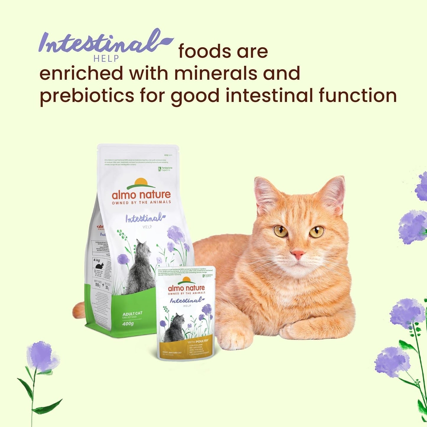 Almo Nature Functional - Intestinal Help - Alimento húmedo para gatos adultos y maduros con intestinos sensibles - con aves - favorece el microbioma - 70 g (paquete de 30)