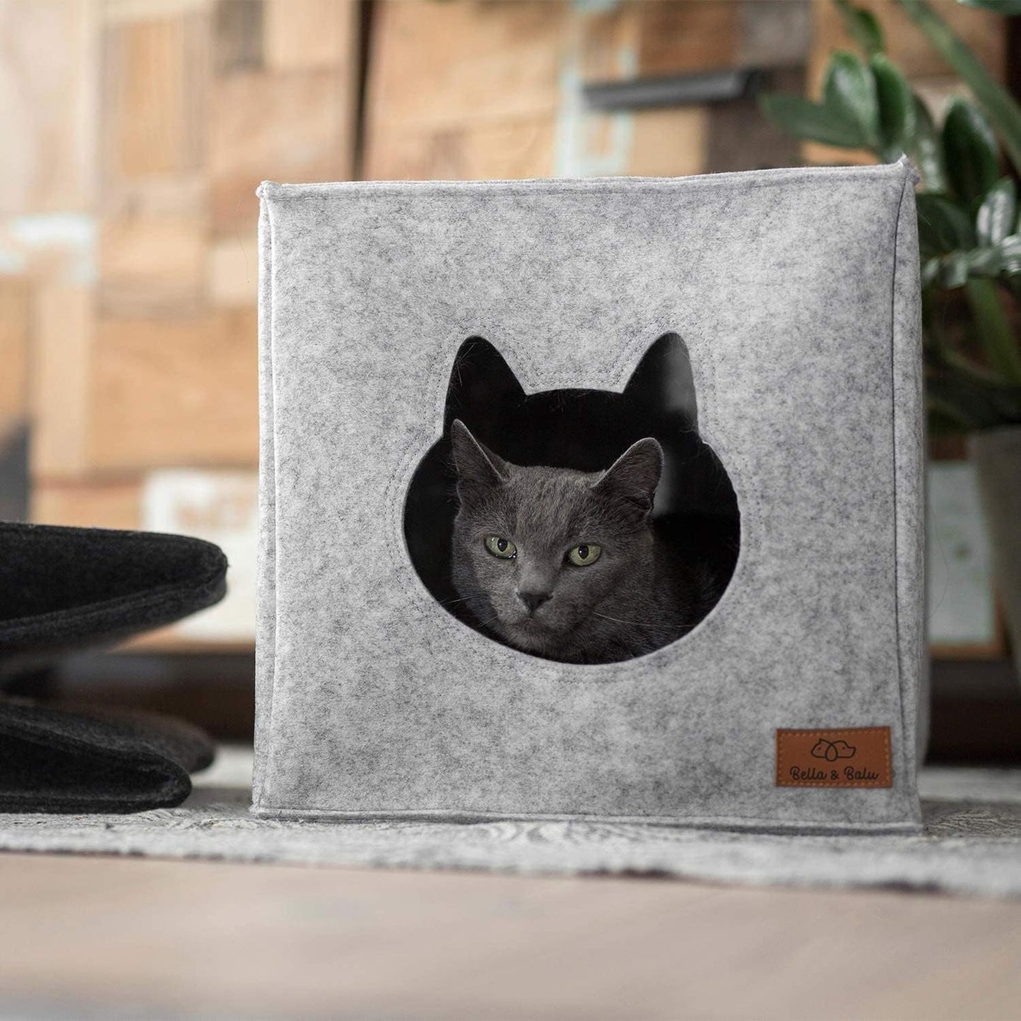 Mantas y Muebles, Mascotas, Casas y Cuevas, Gatos, Camas para gatos, Gatos - camas, colchones