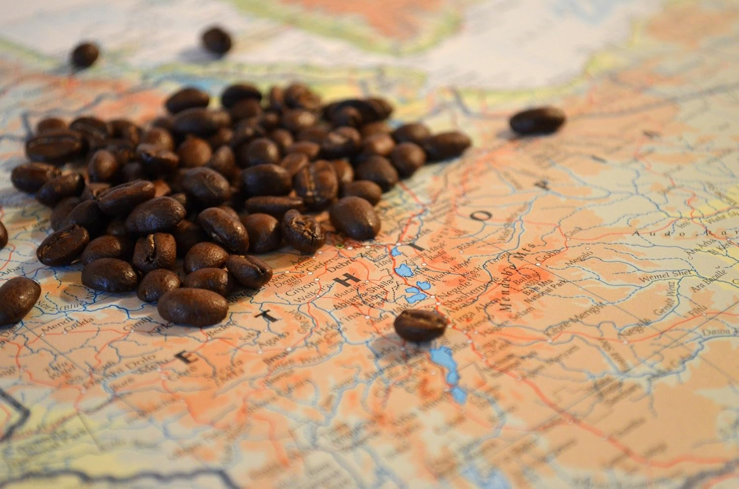 C&T Coffee Rarity - Café silvestre de Etiopía, África | 1000 g de café (en grano) - Fuerte y afrutado | + Cultivado en estado salvaje + Recogido a mano + Secado al sol + Ligeramente tostado