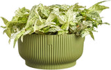 elho Vibes Fold Bowl 25 - Macetas de interior - 100% plástico reciclado - Ø 24,9 x H 12,1 cm - Verde/Ferngrün