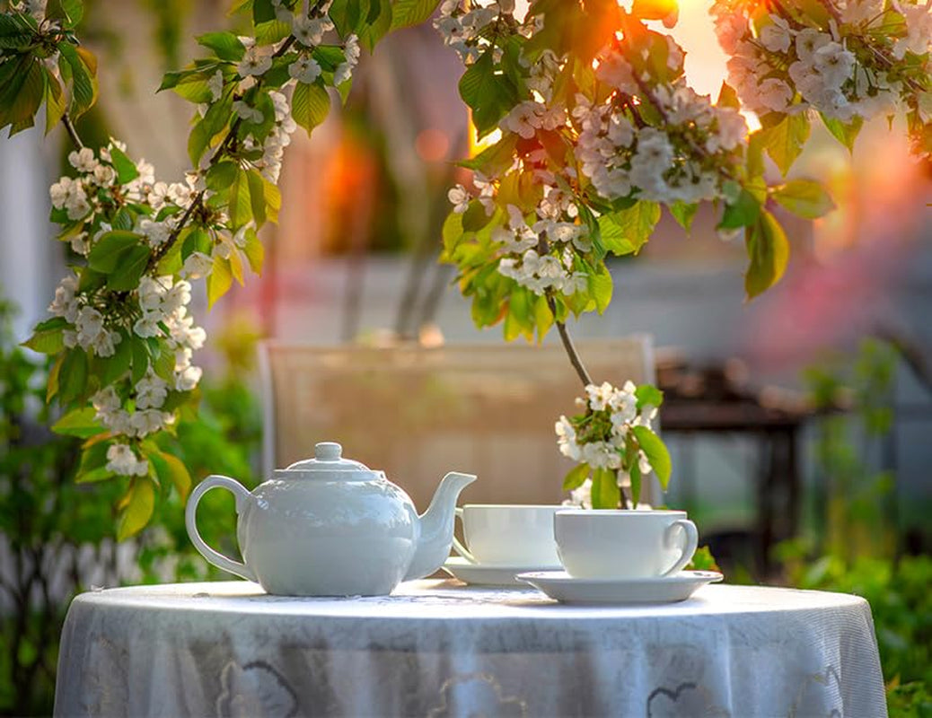 Babcia Jagoda - Té de frutas "Fruchtige Verführung" - 20 bolsitas de té - Con hibisco, manzana, chokeberry, mora, escaramujo, piel de naranja - Intenso sabor a fruta, sin cafeína, vegano, natural, Cay - 40G