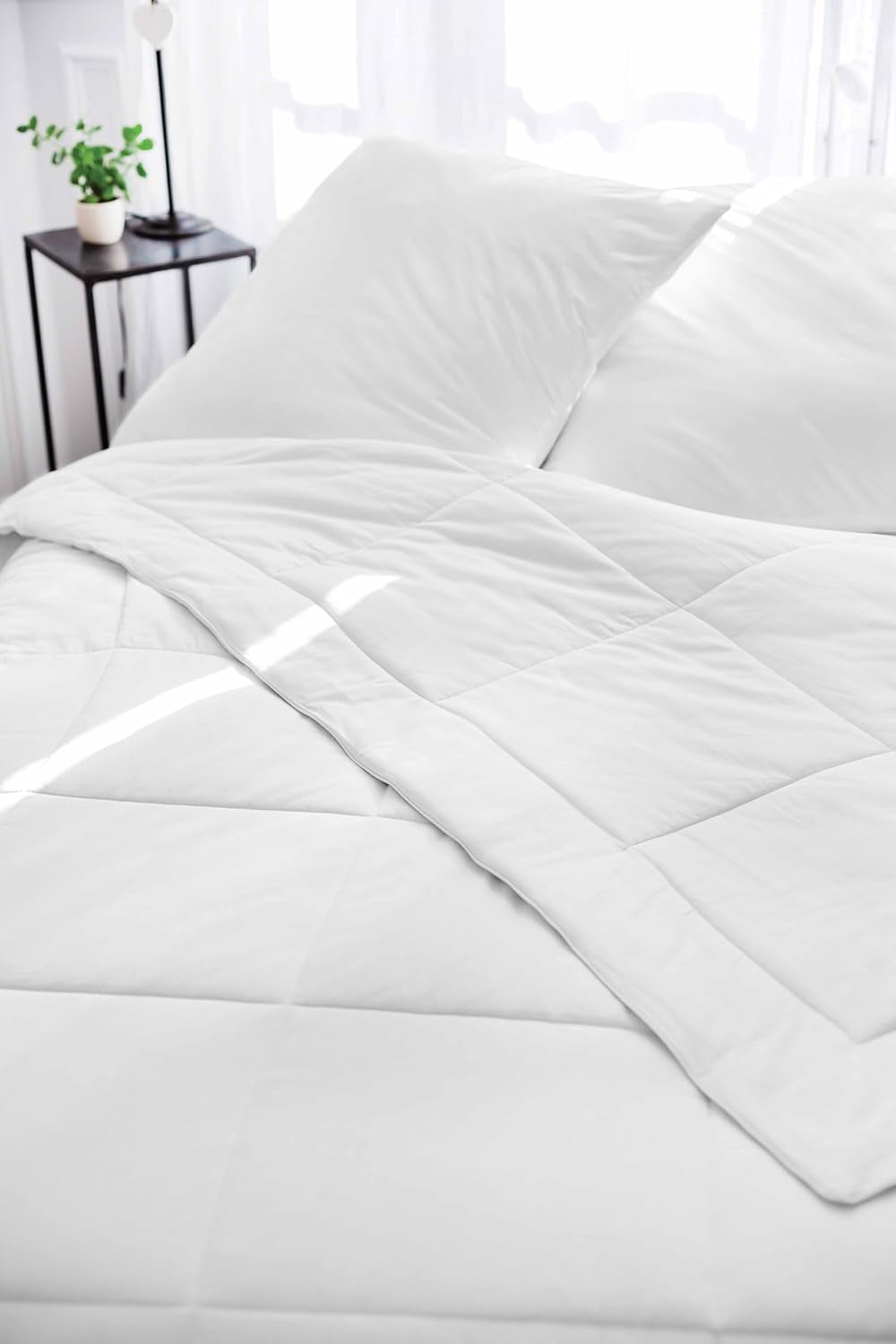 Edredón Toison D'Or Silkydor natural, algodón satinado 380, 240 X 280 cm, blanco Edredones y colchas Naty Shop