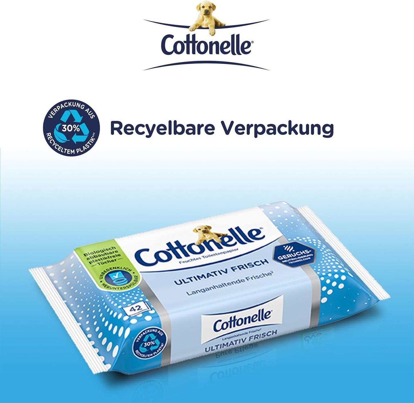 Toallitas húmedas, Ultimate Fresh, 12 x 42 toallitas, tecnología Deodycylx, respetuosas con la piel, sin alcohol ni colorantes, sensibles, biodegradables