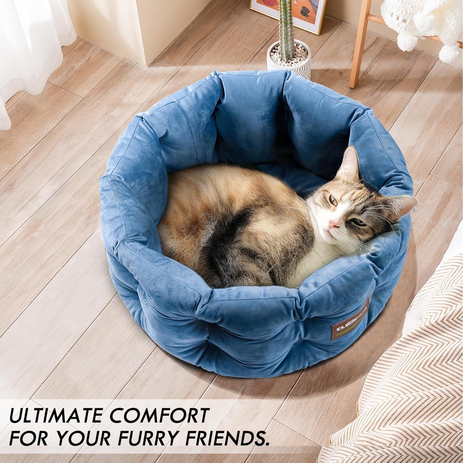 Camas y Sofás, Mantas y Muebles, Mascotas, Gatos, Camas para gatos, Gatos - camas, colchones