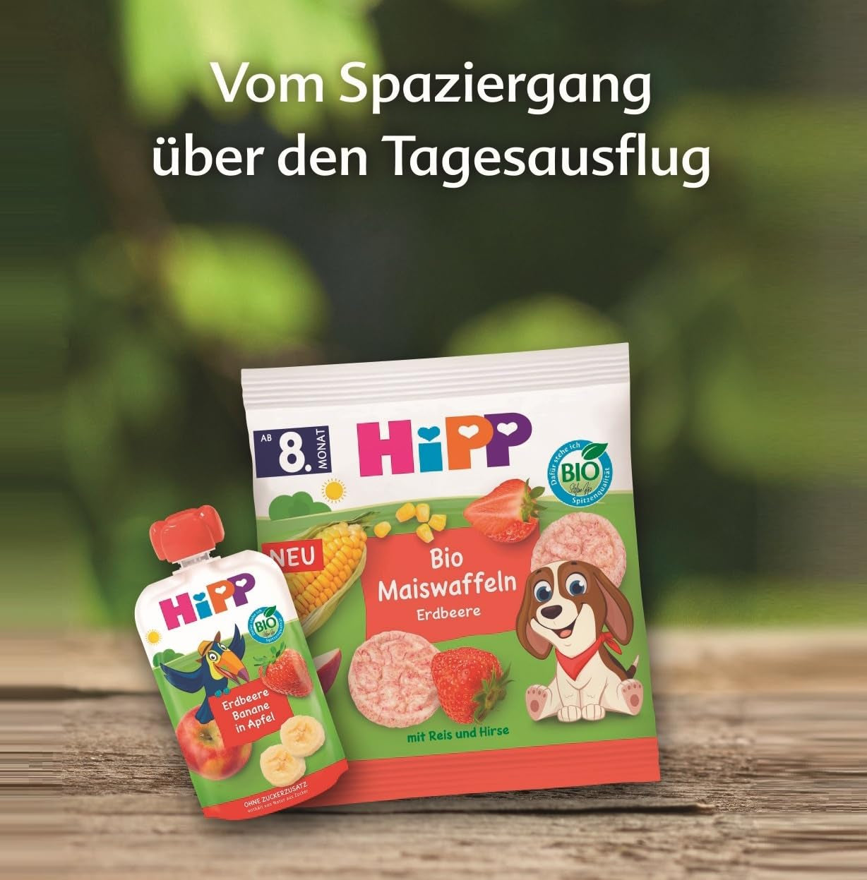 HiPP Bio Quetschie Kiwi en Birne-Banana - Charlie Zebra (8 x 100 g), desde 1 año, 100% Fruchtpüree, sin Zuckerzusatz, vegano, en la mejor calidad biológica (Packung mit 2)