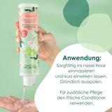 Jean & Len Green Tea & Lime champú hidratante, para cabello normal a graso, 300 ml Ducha y baño Jean & Len Green Tea & Lime