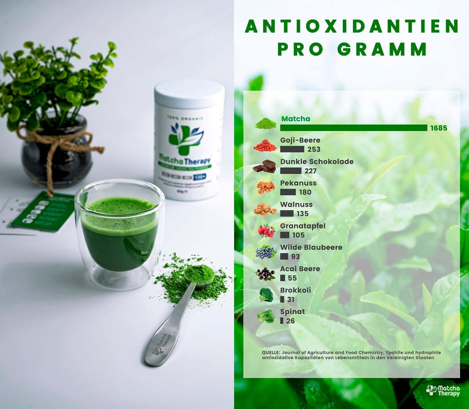 Terapia Matcha 30+ | Té Matcha orgánico en polvo | 60 gramos | Con un contenido comprobado de al menos 30 mg/g de catequina EGCG | Apoya el sistema inmunológico y los niveles de energía | Calidad Ceremonial | Té verde de Japón