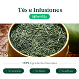 Té verde japonés Gyokuro orgánico (100 g) | Té premium a granel | Sabor umami refinado y dulzura delicada | REPLANTAR