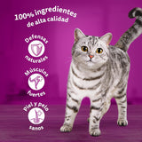 Whiskas Nassfutter für ausgewachsene Katzen, Fischauswahl en gelatina (paquete múltiple, 4 x 12 x 85 g)