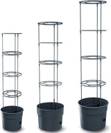 Macetas para plántulas de tomate Prosperplast con enrejado - Jardinera de plástico resistente | Antracita | Resistente a la intemperie y a los rayos UV | 29,5 x 115,2 cm | Ideal para el jardín y la terraza.