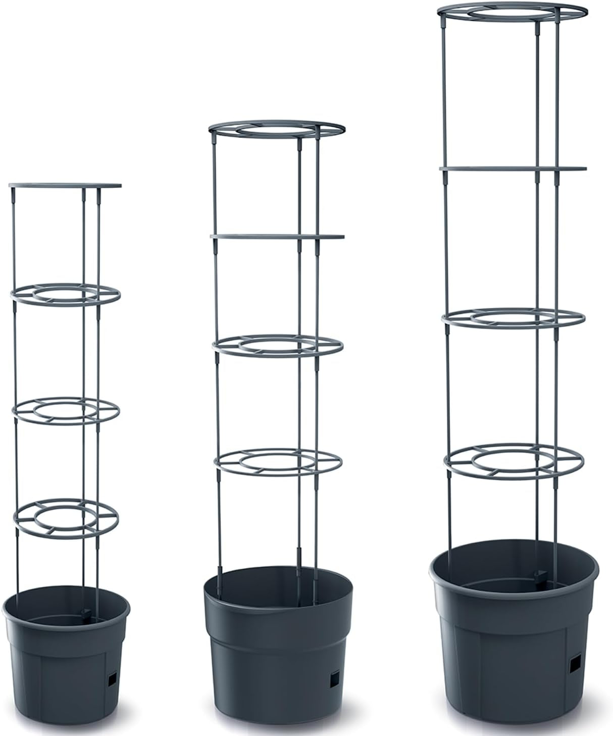 Macetas para plántulas de tomate Prosperplast con enrejado - Jardinera de plástico resistente | Antracita | Resistente a la intemperie y a los rayos UV | 29,5 x 115,2 cm | Ideal para el jardín y la terraza.