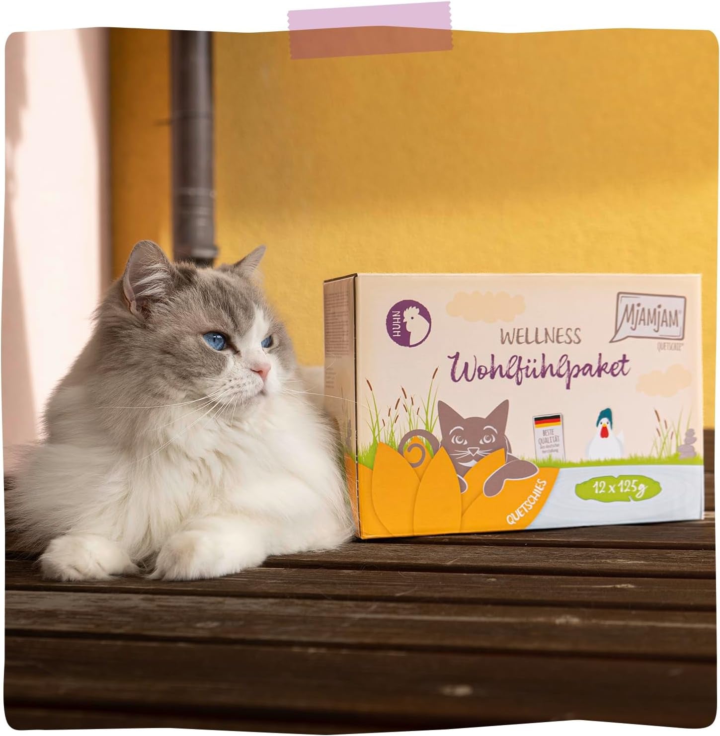 MjAMjAM - Comida húmeda premium para gatos - Paquete de bienestar con pollo, paquete de 12 (12 x 125 g) sin cereales con carne extra