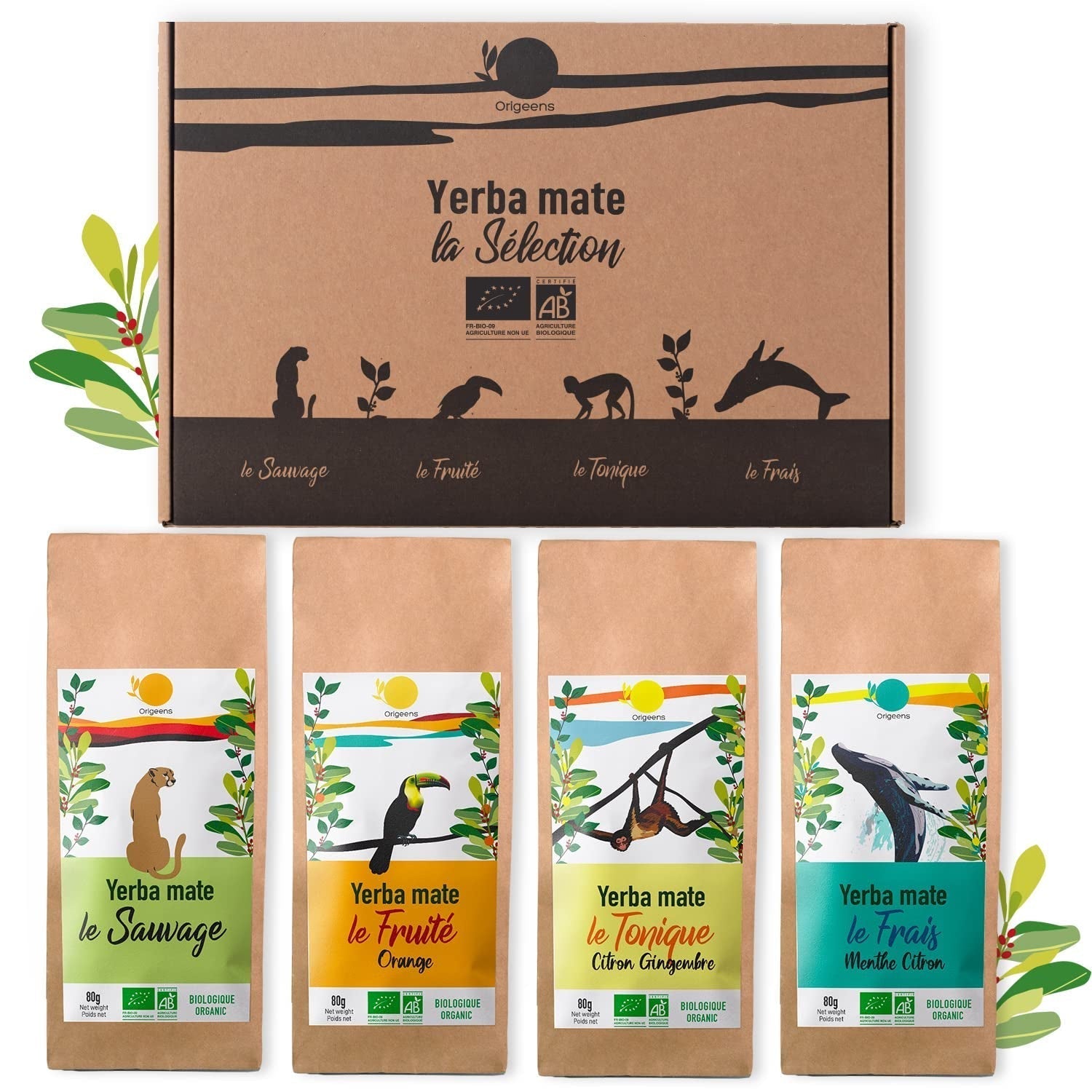 ORIGEENS SET REGALO TÉ BIO MATE X4 I Yerba Mate Bio 4X80G I Set té Yerba Mate, idea regalo