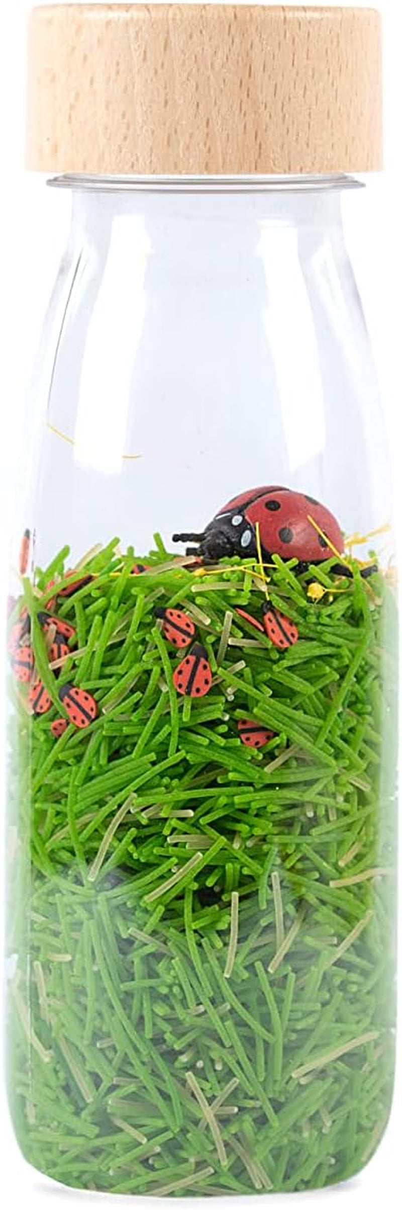 Biberón Sonido Tang Azul Baby Naty Shop Ladybird Toys