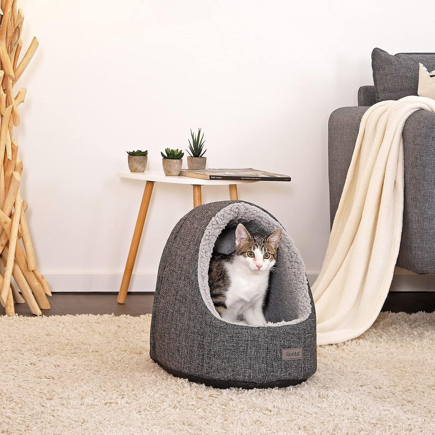 Mantas y Muebles, Mascotas, Casas y Cuevas, Gatos, Camas para gatos, Gatos - camas, colchones